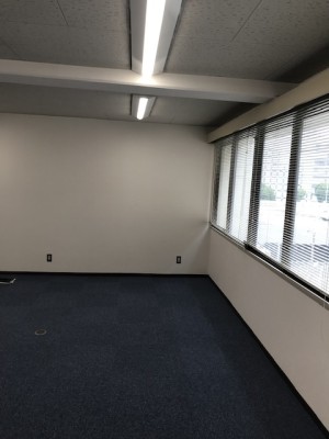 pic1