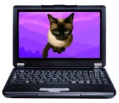 株式会社　ＴＨＩＮＫＣＡＴの写真1