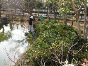 有限会社舩越造園の写真3