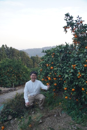 Little Mandarin Farmの写真2