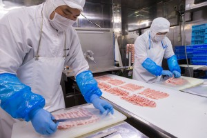 株式会社 ブリオ本社工場の写真1