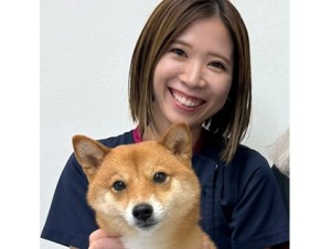 株式会社ベッツジャパン（松波動物病院グループ）の写真3