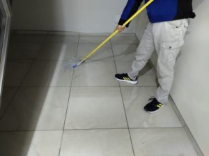 pic1