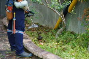 有限会社舩越造園の写真3